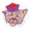 Wildcat logo