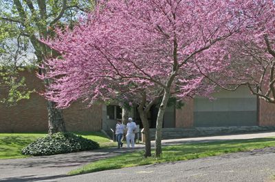 Southern Oregon University Campus